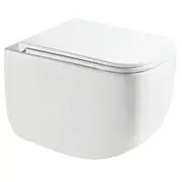 AQUAme AQM2016PRO безободковый, с сиденьем микролифт, белый глянцевый