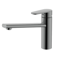 Акватек Ника AQ1880BGM оружейная сталь