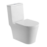 BelBagno Tre BB673CP-MN-TOR/SC безободковый, с крышкой микролифт, белый