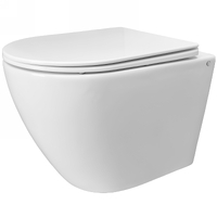 CeramaLux TR2196ZK безободковый, с крышкой микролифт, смыв торнадо, белый глянцевый