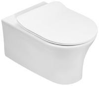 Jacob Delafon Aleo E21731RU-CP безободковый, сиденье микролифт, белый, кнопка хром