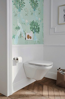 Jacob Delafon Modern Life E21775RU-BL безободковый, сиденье микролифт, белый, кнопка черная