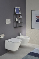 Jacob Delafon Rodin+ E21750RU-00 безободковый, сиденье микролифт, белый, кнопка белая