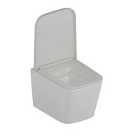 Knotlor Gravity WC50WG безободковый, с сиденьем микролифт, белый