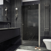 MaybahGlass 70x198 MGD-1672-5 стекло графит, профиль хром матовый