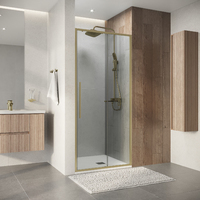 Niagara Nova 100x195 NG-44-10ASG стекло прозрачное, профиль золото брашированное