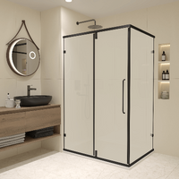 RGW Classic CL-046B 100x90 350904609-24 стекло сатин, профиль черный