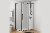 Royal Bath 100х80 BERN-S RB100x80х195-T-BL прозрачный, профиль черный, без поддона