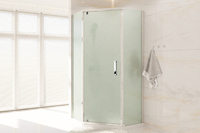 Royal Bath 90х85 RB 9085TR-C стекло матовое, профиль белый