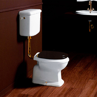 Simas Arcade AR811bi со средним бачком, с боковой ручкой золото, белый