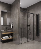 Timo T56L 120х200 TDSS-120/03C-8L стекло прозрачное, профиль черный