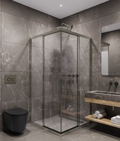 Timo 100х100 TKSS-100/13C-8 стекло прозрачное, профиль никель