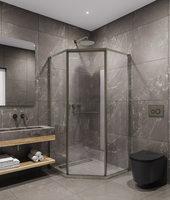 Timo TTSS-100/13C-8R стекло прозрачное, профиль никель