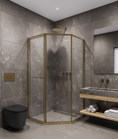 Timo TTSS-100/17C-8L стекло прозрачное, профиль матовое золото