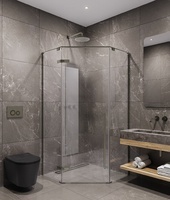 Timo 100х100 TTSSP-100/13C-8 стекло прозрачное, профиль никель