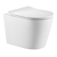 Triton Pro Verso VO-0832 безободковый, с сиденьем микролифт, белый