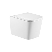 Triton Pro Verso VO-3032 безободковый, с сиденьем микролифт, белый