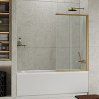 Wasserkraft Schunter 100х140 82S02-100 стекло прозрачное, профиль матовое золото