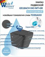 WeltWasser WW GELBACH 043 MT-GR безободковый, с сиденьем микролифт, серый матовый